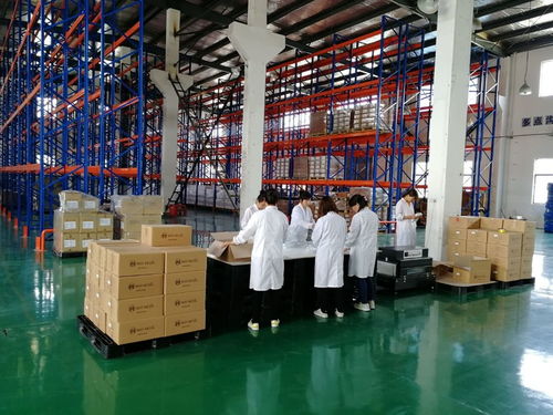 库存立体云仓 质量放心可靠，打造仓储服务新标杆