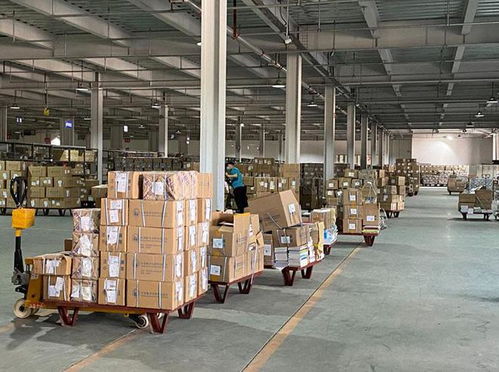 固安 做强现代物流产业，助力经济高质量发展